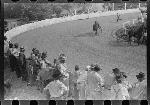 Untitled photo, possibly related to: Entries in the Shelby County Horse Show and Fair. Shelbyville, Kentucky