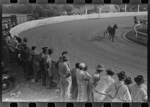 Untitled photo, possibly related to: Entries in the Shelby County Horse Show and Fair. Shelbyville, Kentucky