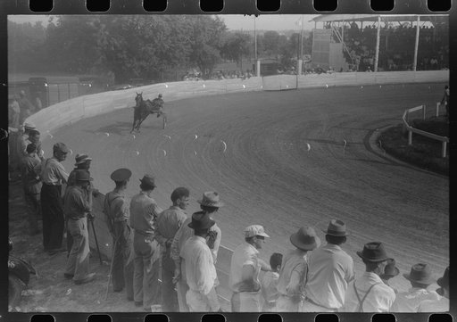 Untitled photo, possibly related to: Entries in the Shelby County Horse Show and Fair. Shelbyville, Kentucky