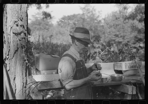 Untitled photo, possibly related to: Picnicker peeling apple at St. Thomas church supper, near Bardstown, Kentucky