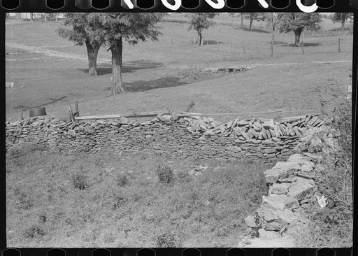 Untitled photo, possibly related to: Old stone fence near Frankfort, Kentucky