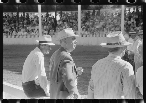 Untitled photo, possibly related to: Spectators at Shelby County Horse Show and Fair. Shelbyville, Kentucky