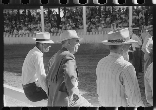 Spectators at Shelby County Horse Show and Fair. Shelbyville, Kentucky