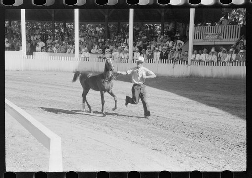 Enties in the Shelby County Horse Show and Fair. Shelbyville, Kentucky