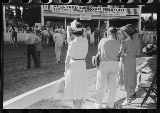 Untitled photo, possibly related to: Spectators at Shelby County Horse Show and Fair. Shelbyville, Kentucky