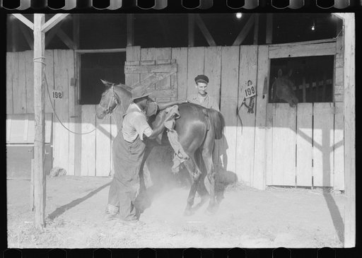 Elaborate preparations are made for entries in Shelby County Horse Show and Fair. Shelbyville, Kentucky