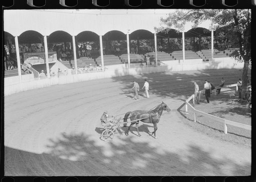 Entries in the Shelby County Horse Show and Fair. Shelbyville, Kentucky