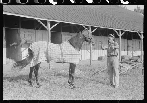 Winners in the Shelby County Horse Show and Fair. Shelbyville, Kentucky
