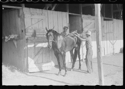 Elaborate preparations are made for entries in Shelby County Horse Show and Fair, Shelbyville, Kentucky