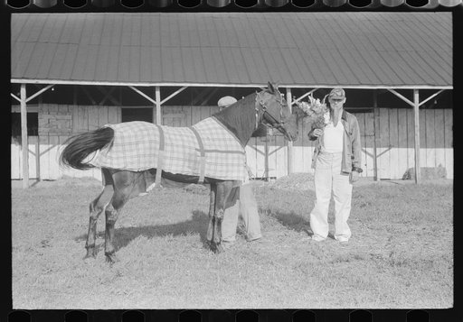 Untitled photo, possibly related to: Winner in the Shelby County Horse Show and Fair, Shelbyville, Kentucky
