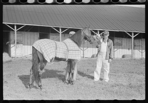 Winner in the Shelby County Horse Show and Fair, Shelbyville, Kentucky