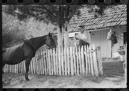 Mountaineer reading his mail by the fence in front of his home up Frozen Creek, near Jackson, Kentucky