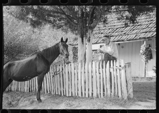 Untitled photo, possibly related to: Mountaineer reading his mail by the fence in front of his home up Frozen Creek, near Jackson, Kentucky