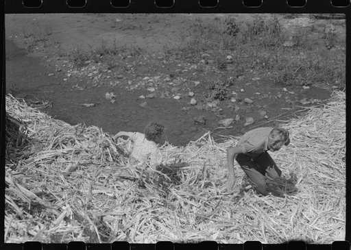 Untitled photo, possibly related to: Pouring off and straining finished sorghum syrup after it had been boiled down at a "syruping off" on the highway between Jackson and Campton, Kentucky