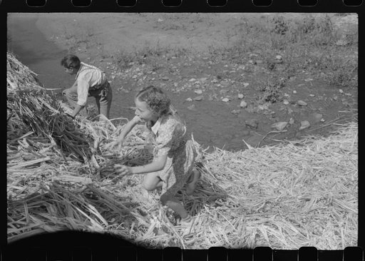 Untitled photo, possibly related to: Pouring off and straining finished sorghum syrup after it had been boiled down at a "syruping off" on the highway between Jackson and Campton, Kentucky