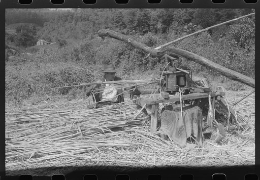 Untitled photo, possibly related to: Ginning the sorghum cane to make syrup. At a mountaineer's home on the road between Jackson and Campton, Kentucky