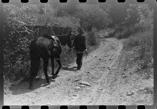 Untitled photo, possibly related to: Woman using mounting block up Burton's Fork, Kentucky River, near Jackson, Kentucky