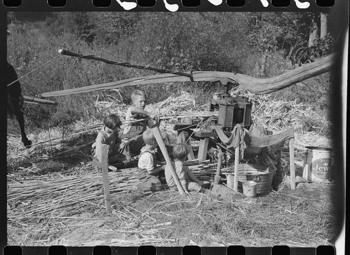 Ginning the sorghum cane while making syrup at a mountaineer's home in Breathitt County, Kentucky