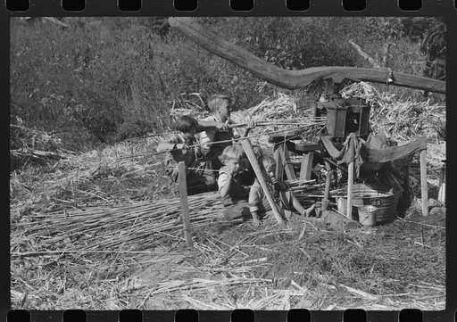 Untitled photo, possibly related to: Ginning the sorghum cane while making syrup at a mountaineer's home in Breathitt County, Kentucky