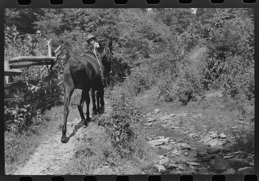 Untitled photo, possibly related to: Mountain people carrying a homemade coffin up creek bed to the family plot on the hillside where it will be buried. This section is too isolated to hold any formal funeral services immediately. Up South Fork of the Kentucky River near Jackson, Kentucky