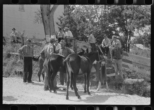 Farmers trading mules and horses on "Jockey Street" in Campton, Kentucky