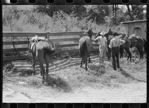Untitled photo, possibly related to: Farmers trading mules and horses on "Jockey Street" in Campton, Kentucky