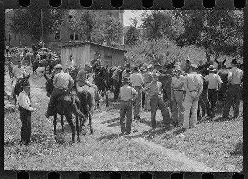 Untitled photo, possibly related to: Farmers trading mules and horses on "Jockey Street" in Campton, Kentucky