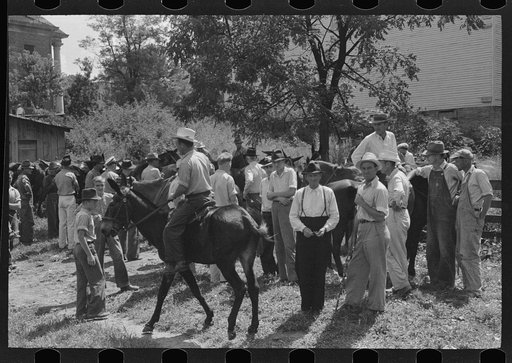 Untitled photo, possibly related to: Farmers trading mules and horses on "Jockey Street" in Campton, Kentucky
