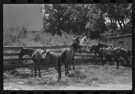 Untitled photo, possibly related to: Farmers trading mules and horses on "Jockey Street" in Campton, Kentucky