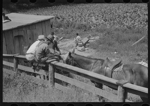 Untitled photo, possibly related to: Farmers trading mules and horses on "Jockey Street" in Campton, Kentucky