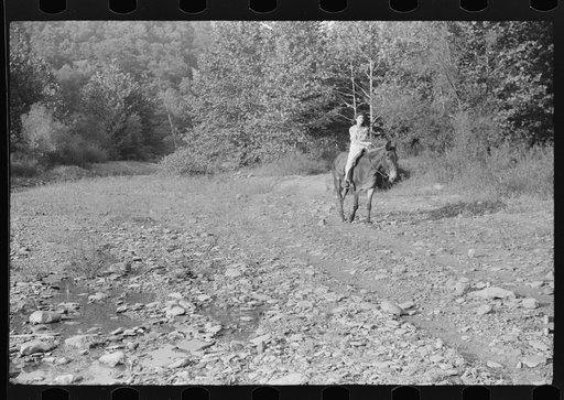 Mountain girl riding home from school on muleback. Up South fork of the Kentucky River. Breathitt County, Kentucky