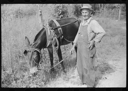 Untitled photo, possibly related to: Going home from school. In Breathitt County, Kentucky. The school year begins in July and ends in January as most of the children have no shoes and insufficient clothing to walk the long distances over bad roads and up creek beds