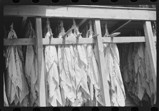 Untitled photo, possibly related to: Tobacco hung up to dry on porch of mountaineer's cabin. Near Jackson, Kentucky