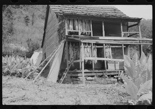 Untitled photo, possibly related to: Tobacco hung up to dry on porch of mountaineer's cabin. Near Jackson, Kentucky