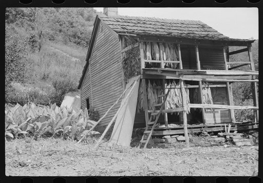Untitled photo, possibly related to: Tobacco hung up to dry on porch of mountaineer's cabin. Near Jackson, Kentucky
