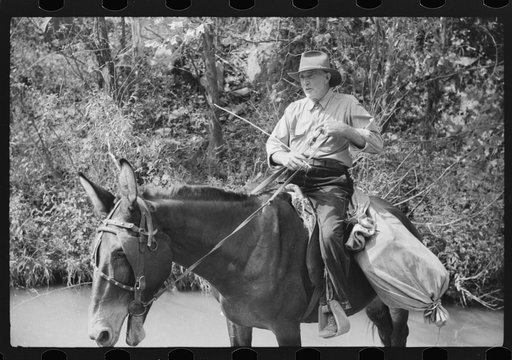 Untitled photo, possibly related to: Rural mailman going up the creek bed toward Morris Fork near Jackson, Kentucky