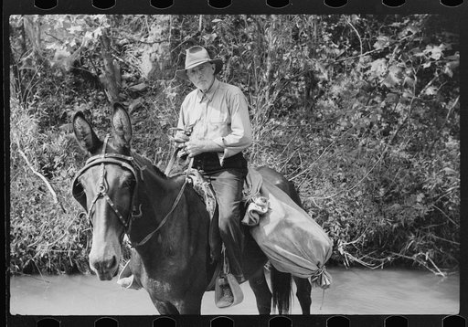Rural mailman going up the creek bed toward Morris Fork near Jackson, Kentucky