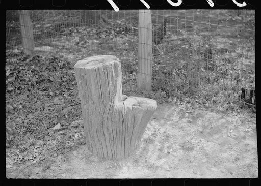 Mounting block made of tree stump by mountain family's home up Burton's Fork, Kentucky River, near Jackson, Kentucky