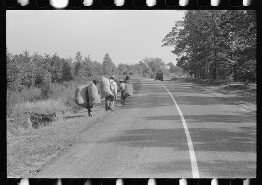 Untitled photo, possibly related to: Caswell County, North Carolina. Negro tenants taking home grass which was cut along the roadside by the Highway Department