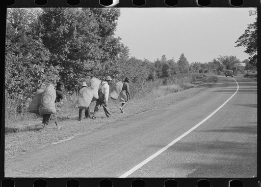 Untitled photo, possibly related to: Caswell County, North Carolina. Negro tenants taking home grass which was cut along the roadside by the Highway Department