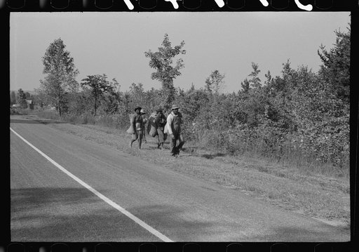 Untitled photo, possibly related to: Caswell County, North Carolina. Negro tenants taking home grass which was cut along the roadside by the Highway Department