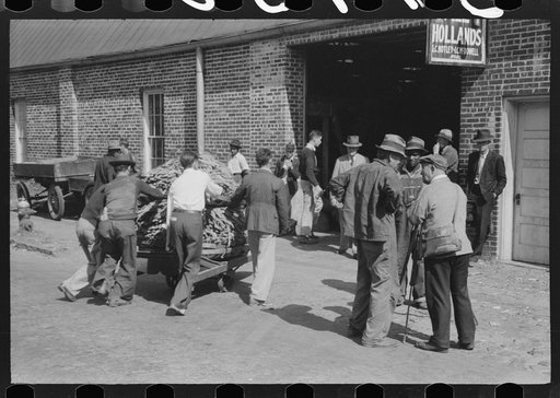 Taking a load of tobacco into the warehouse for the auction sale. Danville, Virginia