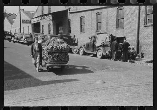 Taking a load of tobacco into the warehouse for the auction sale. Danville, Virginia