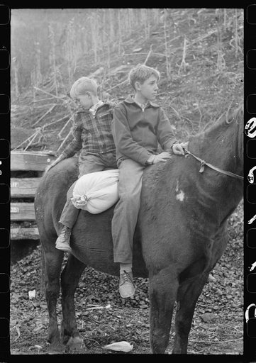 Untitled photo, possibly related to: FSA (Farm Security Administration) borrower's children returning home on muleback with a sack of meal. Knox County, Kentucky