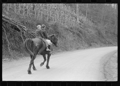 Untitled photo, possibly related to: FSA (Farm Security Administration) borrower's children returning home on muleback with a sack of meal. Knox County, Kentucky
