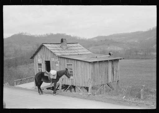 Untitled photo, possibly related to: Farmer's mule waiting with sack of wheat, Saturday morning, Jackson, Kentucky