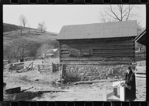 Untitled photo, possibly related to: Hog killing. Near Luray, Virginia