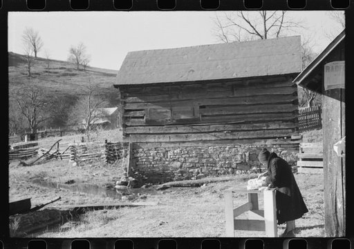 Untitled photo, possibly related to: Hog killing. Near Luray, Virginia