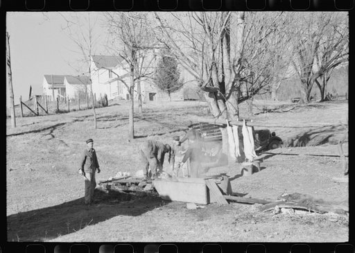 Untitled photo, possibly related to: Hog killing. Near Luray, Virginia