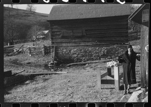 Untitled photo, possibly related to: Hog killing. Near Luray, Virginia